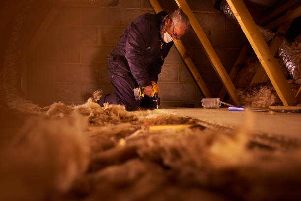 Best Insulation Maintenance and Repair in Dunellen, NJ